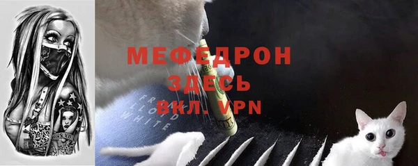 шишки Заволжск