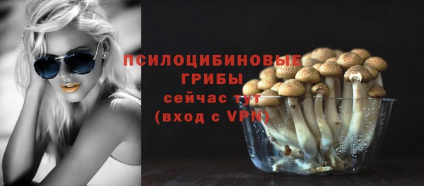 шишки Заволжск