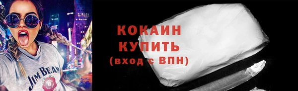 шишки Заволжск