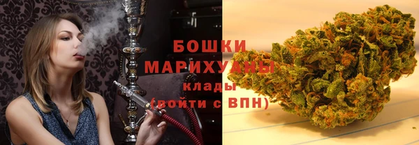 шишки Заволжск