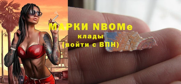 шишки Заволжск
