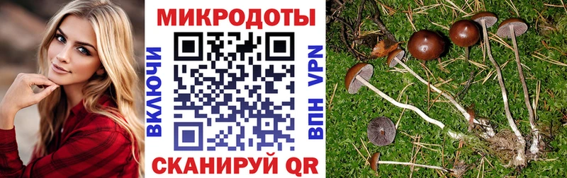 Купить где  Людиново  Галлюциногенные грибы прущие грибы 